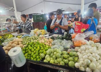 Alza en combustibles impacta precios de productos básicos en Querétaro