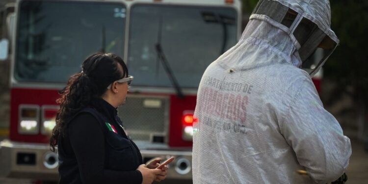 Picaduras de abejas dejan siete personas atendidas en la Unidad Deportiva Maquío; una fue trasladada al hospital