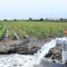 Quitarían agua ahorrada sólo si hay subsidios