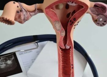 Asociación mexicana pide priorizar la atención del cáncer de ovario