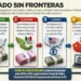 Lavan cárteles millones con las mafias chinas