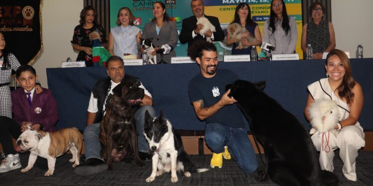 Alistan Expo Canina y otras mascotas 2026 en el QCC