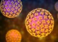 EE.UU. mantiene bajo vigilancia a 41 personas en el país por exposición al hantavirus