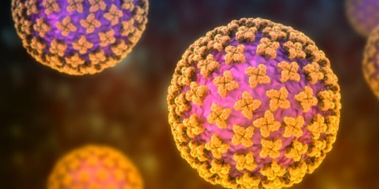 EE.UU. mantiene bajo vigilancia a 41 personas en el país por exposición al hantavirus