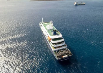 Mueren tres por presunta infección de hantavirus en un crucero