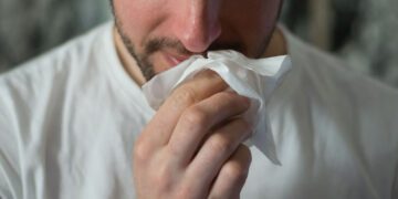OMS prevé más casos de hantavirus en personas que no viajaron en crucero