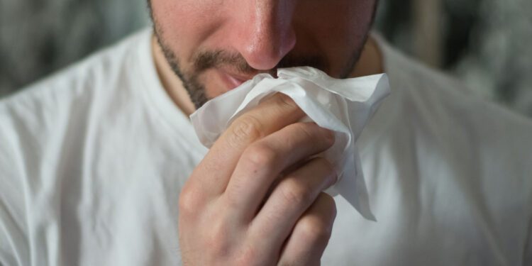 OMS prevé más casos de hantavirus en personas que no viajaron en crucero