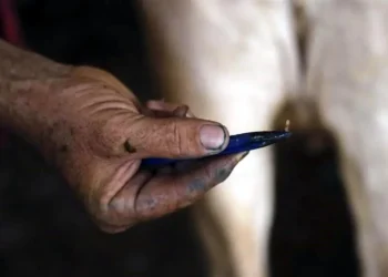 Detectan primer caso de gusano barrenador en humanos en CDMX