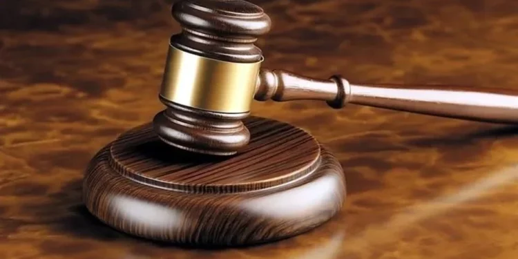 Van al 2028 elección judicial y revocación