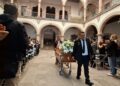 Fallece magistrada de Zacatecas tras ataque masivo de abejas