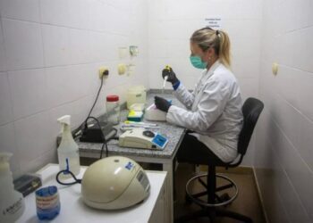 Confirma OMS casos de hantavirus de la cepa de los Andes