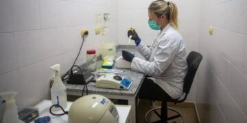 Confirma OMS casos de hantavirus de la cepa de los Andes