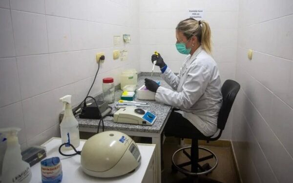 Confirma OMS casos de hantavirus de la cepa de los Andes