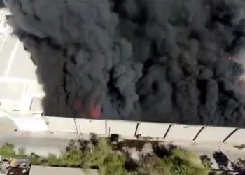 Suman seis muertos por incendio en plaza de Los Mochis