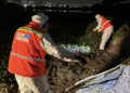 Refuerzan acciones contra los mosquitos