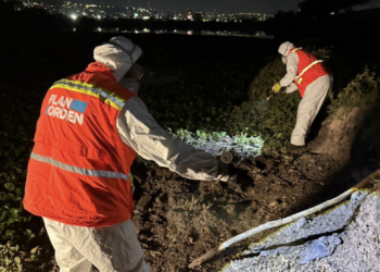 Refuerzan acciones contra los mosquitos