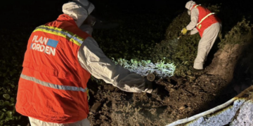 Refuerzan acciones contra los mosquitos