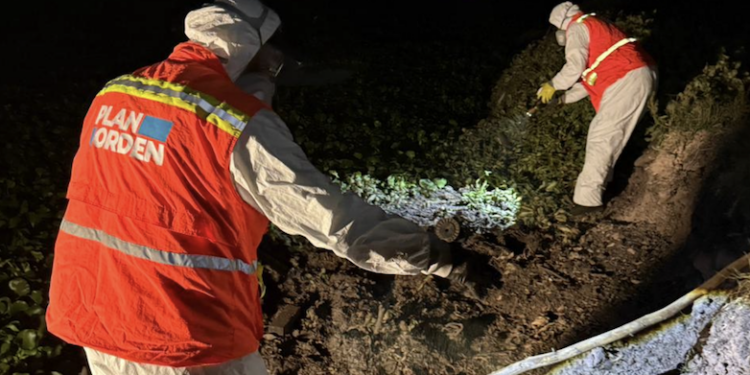Refuerzan acciones contra los mosquitos