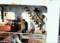 Realiza Marina simulacros de rehenes y amenaza química
