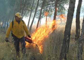 Van 56 incendios forestales en Querétaro durante 2026