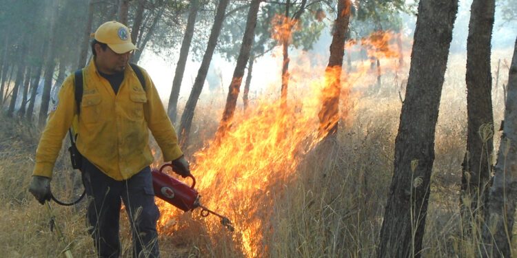 Van 56 incendios forestales en Querétaro durante 2026