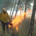 Van 56 incendios forestales en Querétaro durante 2026