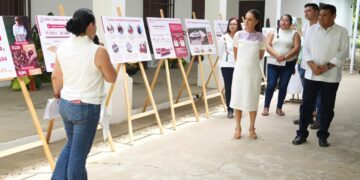 Anuncia Sheinbaum anuncia proyecto “Precio Justo para el Cacao de Tabasco”