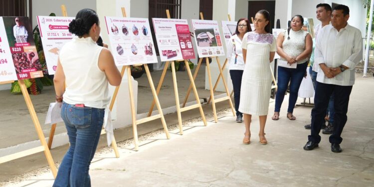 Anuncia Sheinbaum anuncia proyecto “Precio Justo para el Cacao de Tabasco”
