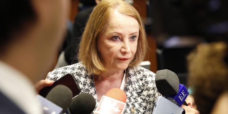 Morena debe postular perfiles intachables: Laura Itzel Castillo