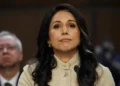 Dimite Tulsi Gabbard como directora de Inteligencia de EU