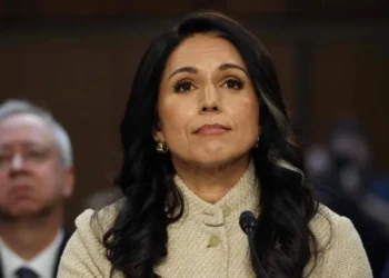 Dimite Tulsi Gabbard como directora de Inteligencia de EU