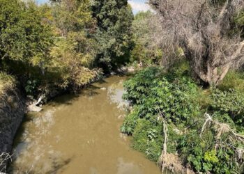 Cierran trotapista del Parque Querétaro 2000 por labores de fumigación