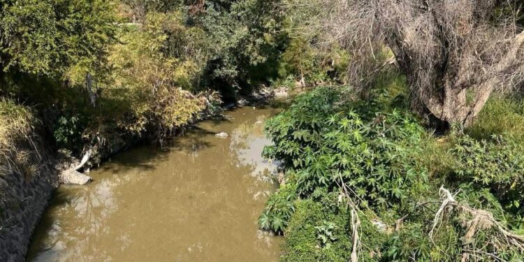 Cierran trotapista del Parque Querétaro 2000 por labores de fumigación