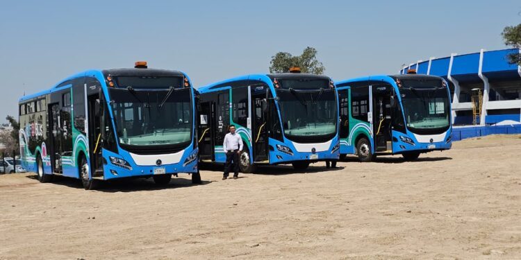 AMEQ suma 80 nuevas unidades a flotilla; se ha renovado el 90% del parque vehicular