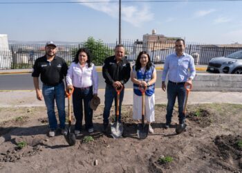 Impulsa El Marqués la rehabilitación de espacios públicos con jornada de áreas verdes en Los Héroes