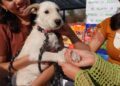 Recaudan 850 kilos de alimento en Croquetón Escolar para perros rescatados