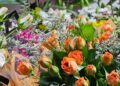 Oferta y demanda elevan el precio de las flores en fechas como el 10 de mayo