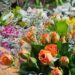 Oferta y demanda elevan el precio de las flores en fechas como el 10 de mayo