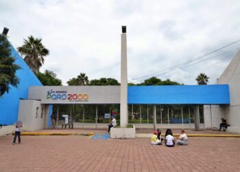 Reporta SEDESU retiro de 95% de lirio de bordo del Parque Querétaro 2000