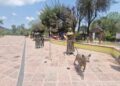 Elementos de seguridad recuperan escultura de Puente de la Historia