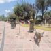 Elementos de seguridad recuperan escultura de Puente de la Historia