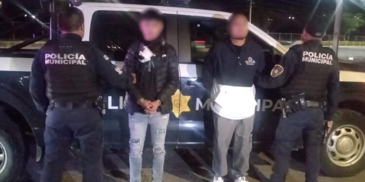 Detenidos por posesión ilegal de un animal en peligro de extinción