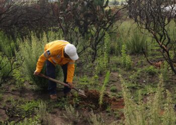 Querétaro lidera captación por impuestos verdes