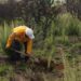 Querétaro lidera captación por impuestos verdes