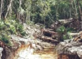 Ven riesgo para acuífero por carretera en Tulum