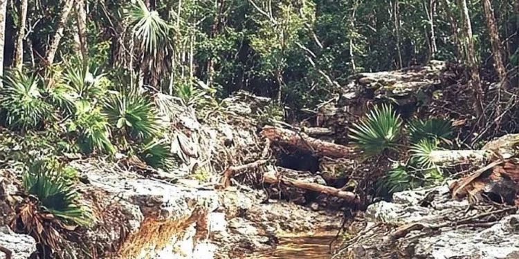 Ven riesgo para acuífero por carretera en Tulum
