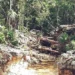 Ven riesgo para acuífero por carretera en Tulum