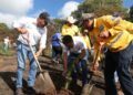 Inicia SEDEA reforestación con más de 800 mil árboles