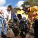 Inicia SEDEA reforestación con más de 800 mil árboles