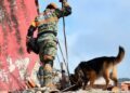 Estos son los 22 binomios caninos mexicanos que laboran en Venezuela por los sismos